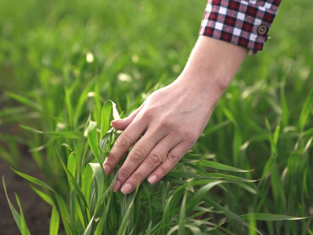 VERLEIHUNG DER EcoVadis-Bronzemedaille