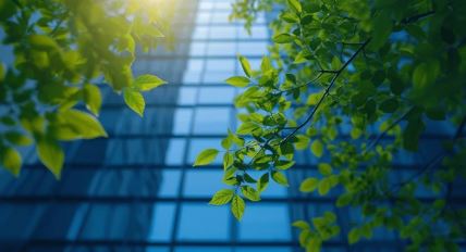 ISO 14001:2015 Certification = A Step Forward in Environmental Sustainability